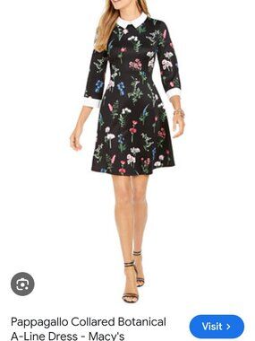 Pappagalo A-line Botanical Dress size 16
